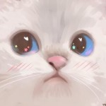 SkittyKittyCat's Avatar