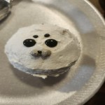 Seal's Avatar