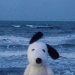 BlackuDoggu's Avatar