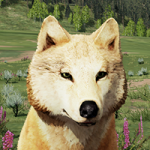 Silvisuni's Avatar