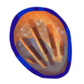 dwTeUfHSeL8-image.png