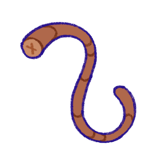 Mouse Tail